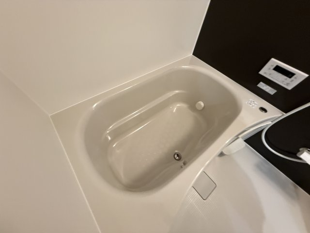 SOLASIA residence池田の浴室