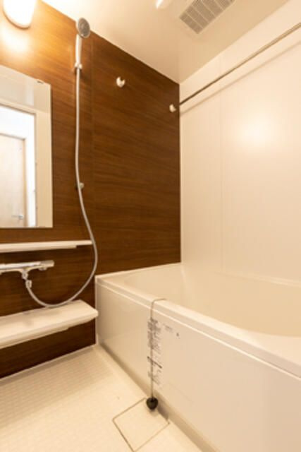 メゾンドリーヴ両国の浴室