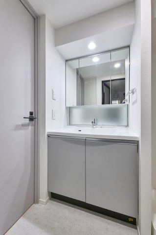 プラウドフラット錦糸町ウエストの洗面所|参考写真