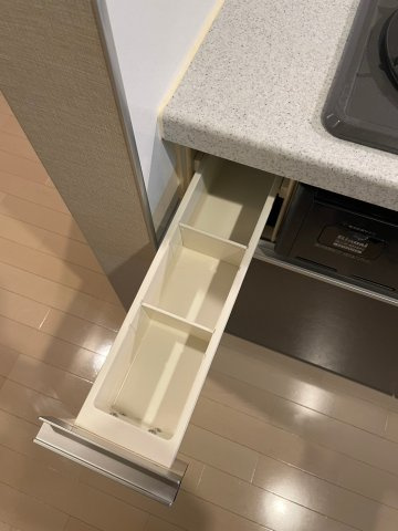 ブレシア銀座イーストの収納|便利な収納スペースです