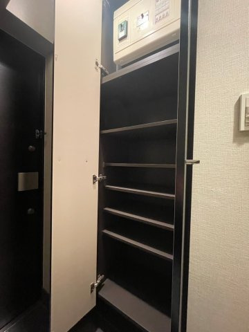 ブレシア銀座イーストの収納|たっぷりとした収納スペースです