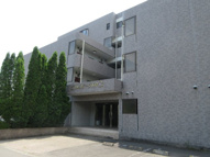 トレステーラ下芹の画像