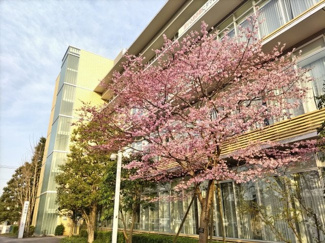 さいたま市桜区役所まで1000ｍ
