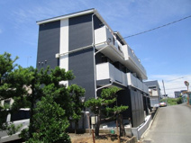 セリーナの画像