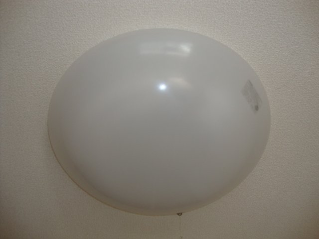 ｖｉｌｌａ　花水木の設備|洋室照明