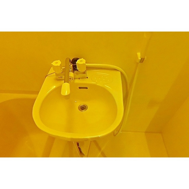 コートエバーグリーンの洗面所