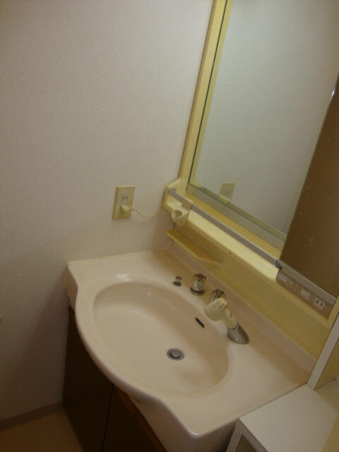 フラットサモアノ・北小金の洗面所