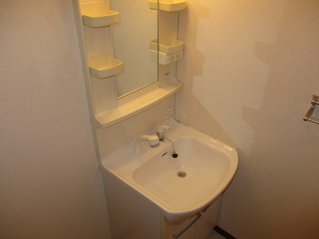 エヴァーグリーン西大和Bの洗面所