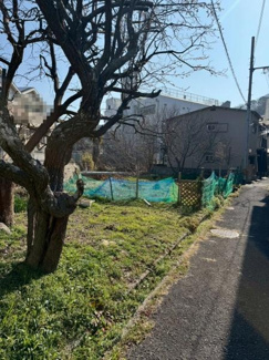 【前面道路含む現地写真】 | 写真：土地Ｂ、土地面積233.02平米(70.48坪)