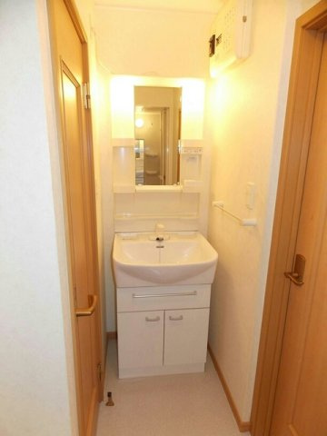 メゾングレイスＢの洗面所