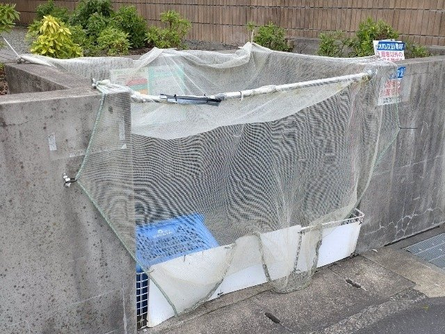 レオパレス川端のその他