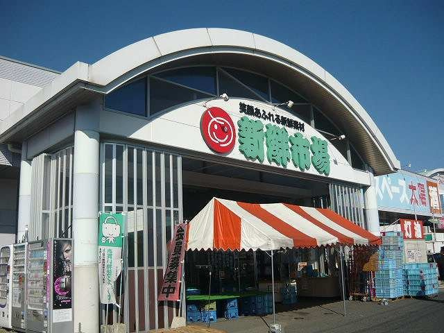ファミール八王子Ａの周辺|新鮮市場まで100m