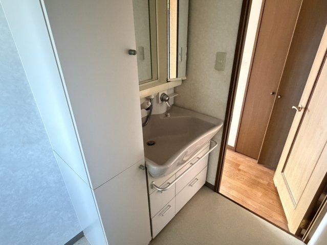 グランドール西条 弐番館の洗面所