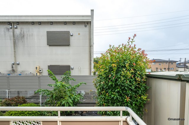 コーポラスUの展望