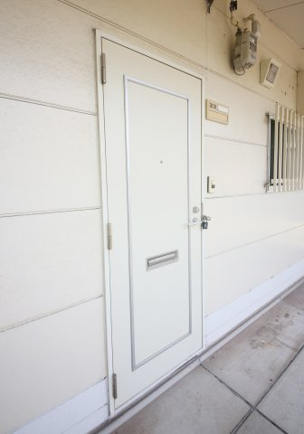 パレス緒川の玄関