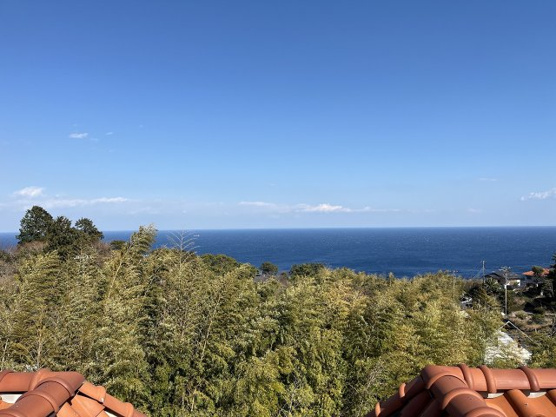 【展望】 | ニューステージ川奈