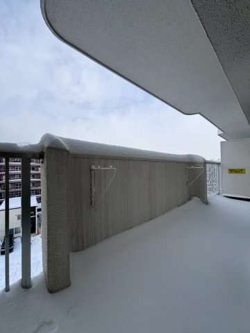 東カン中の島パークサイドマンションのバルコニー