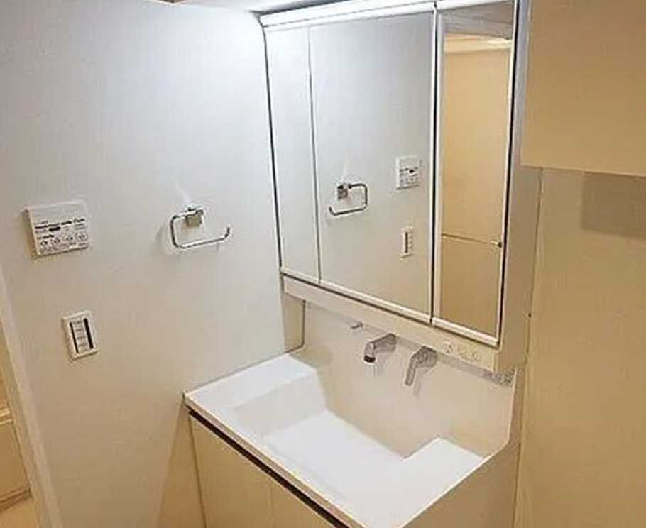 パークペルル池尻　築浅　ペット相談　楽器相談の洗面所