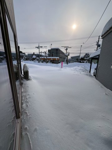 江別市文京台5-19の庭