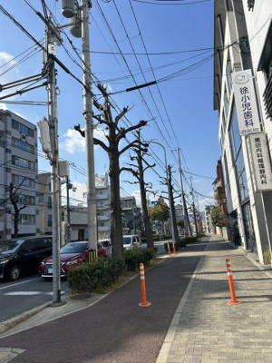 【周辺】 | 御影ラ・パラツィーナ