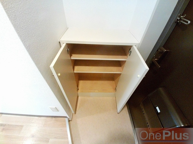 ダイヤデートの収納|シューズボックス