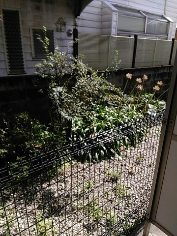 グレイス自由が丘の展望