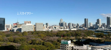 スカイグランデ汐留の展望