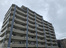 アムール和白駅の画像