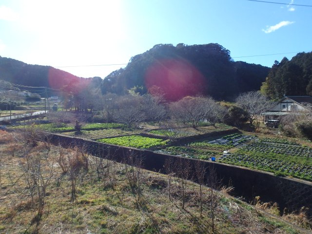 M0250H　南伊豆町入間中古住宅の展望