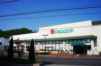 【周辺】 | レオパレス森田２１