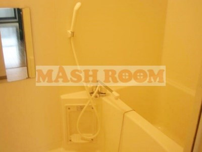 エクセル朋山の浴室