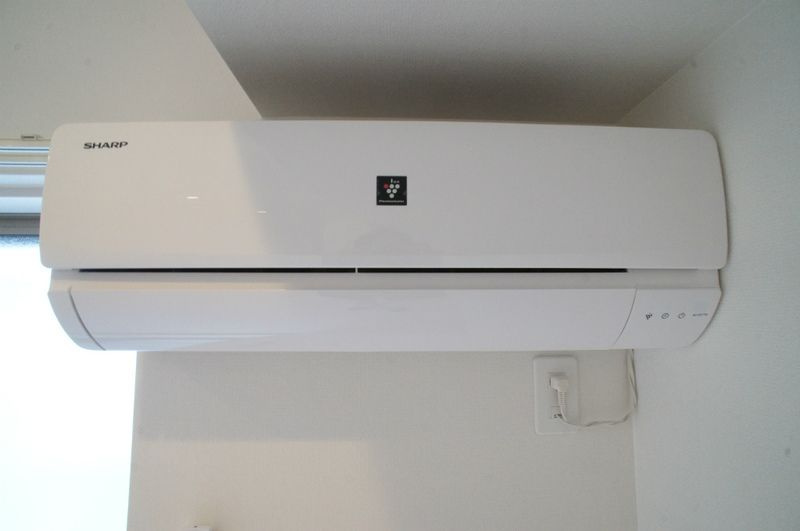 リブリカルミアの設備