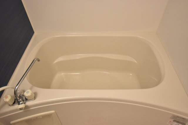 カーサセレナの浴室