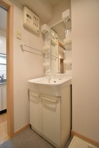 カーサセレナの洗面所