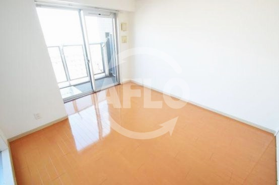 アーバンフラッツ難波東の収納|La Douceur難波東（ラドゥセール難波東）　洋室