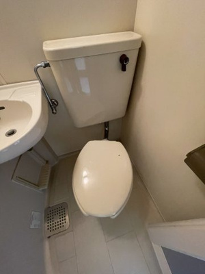 【トイレ】 | ハイツシグマ | トイレです