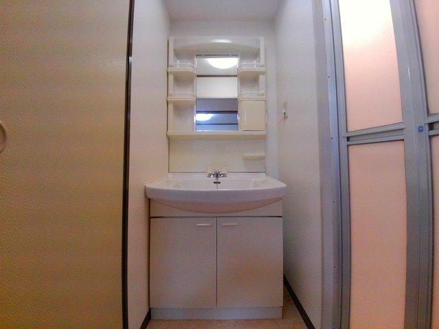 グランディア篠原弐番館の洗面所