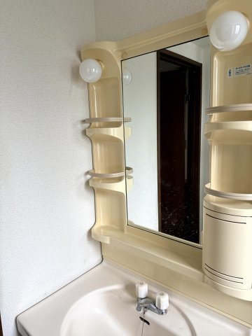 グリーンコーポの洗面所