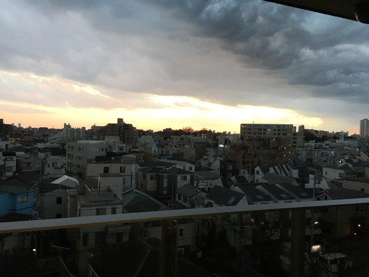 ＴＨＥパームス祐天寺マスタープレイスの展望