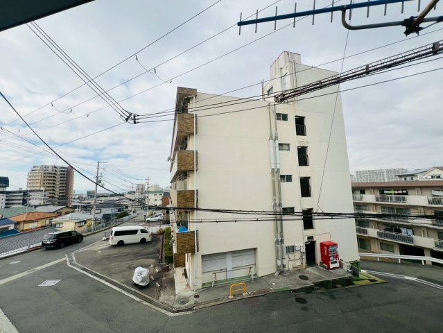 ハイムオオクラの展望