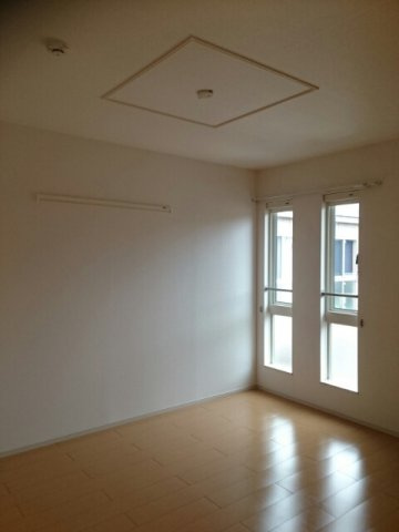 アムールのその他