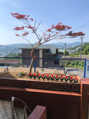 【その他】 | 伊東市湯川　戸建