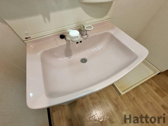 ラフィーネ南豊中の洗面所