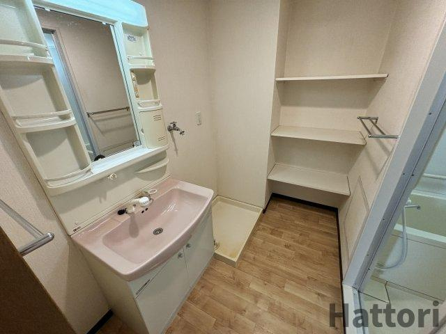 ラフィーネ南豊中の独立洗面台