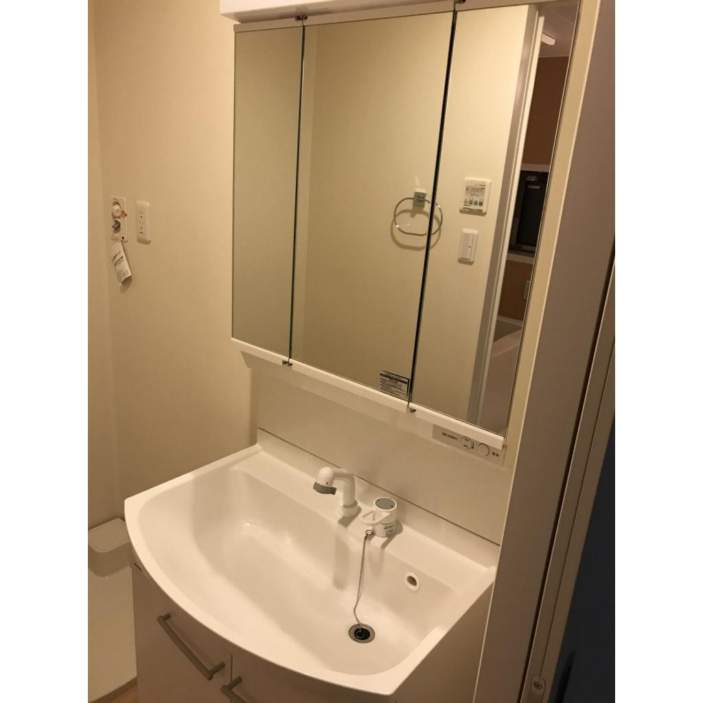 グランディール山手　Bの洗面所