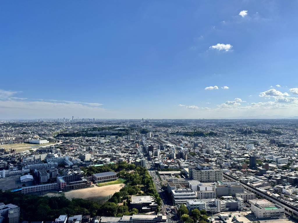 リエトコート武蔵小杉ザ・クラッシィタワーの展望