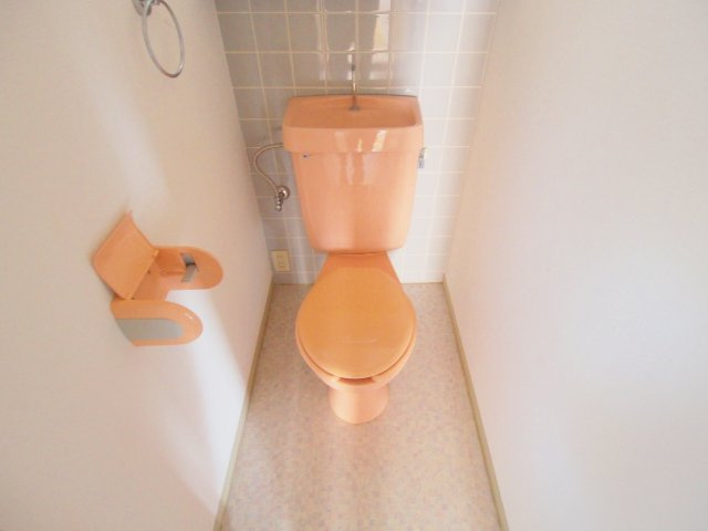 広島市安芸区矢野西４丁目の賃貸マンションのトイレ