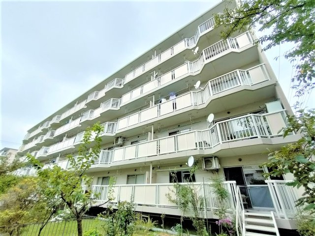 早稲田団地3-19-3号棟