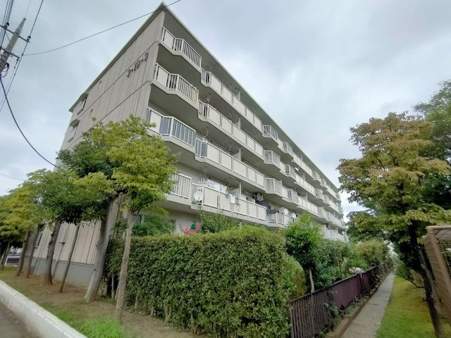 早稲田団地3-19-3号棟の外観|外観です