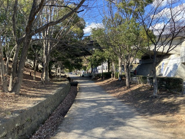 東山田３丁目　新築戸建１号地の周辺|前面道路緑道